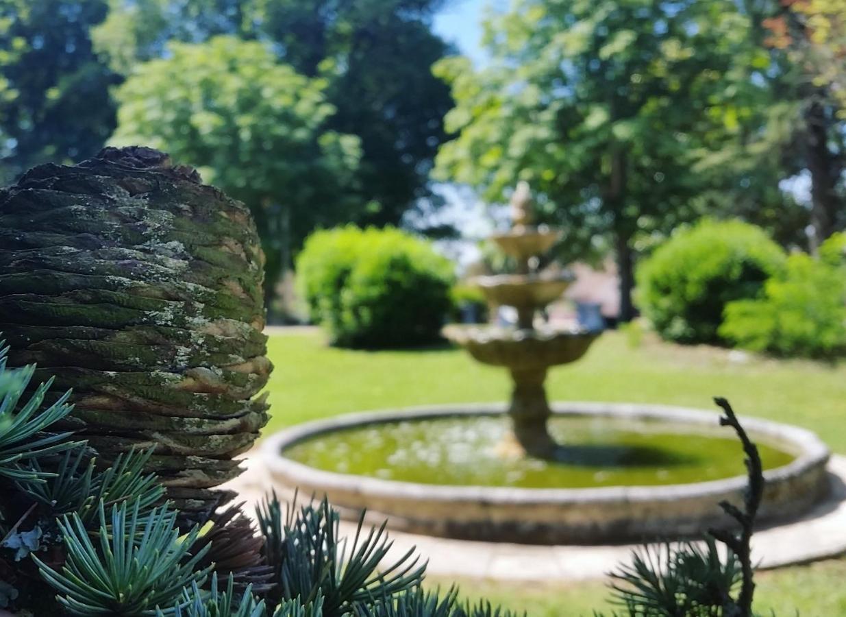 ホテル Chateau Marith - Etablissement Climatise Avec Piscine クレラック エクステリア 写真